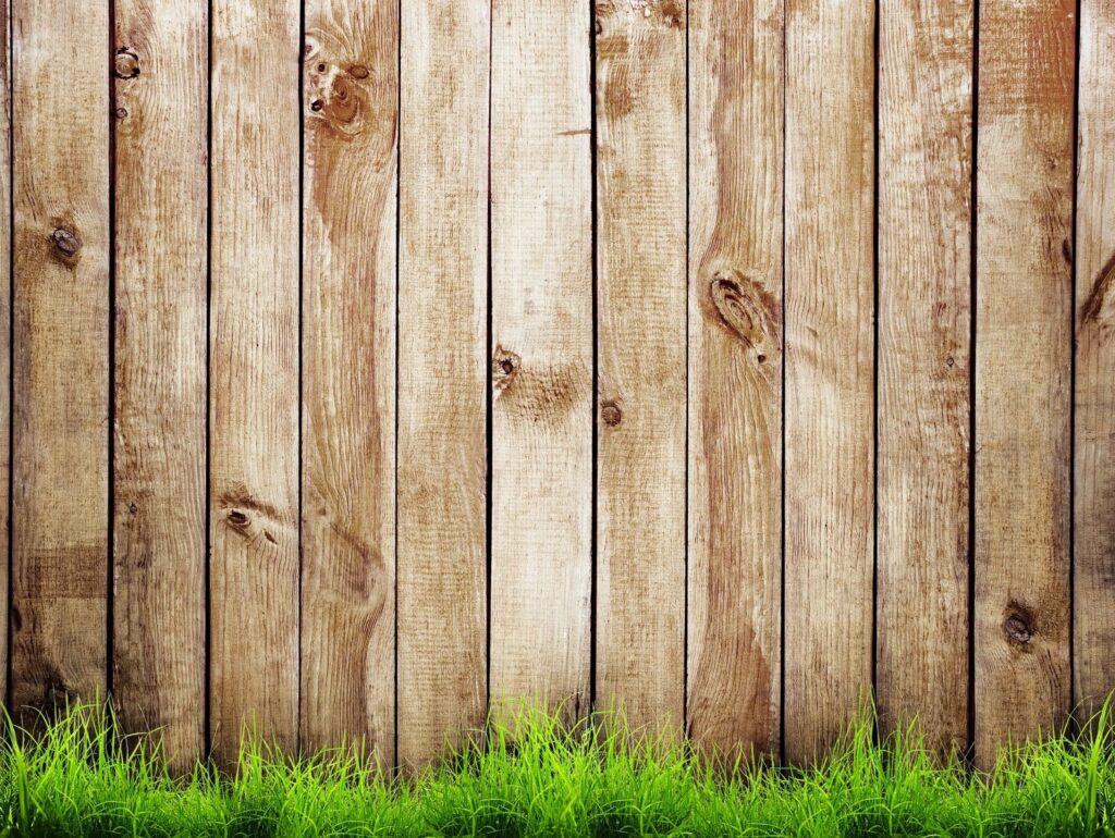 Vertical wooden fence with green grass at the bottom.