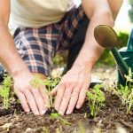 Yard work stock photo