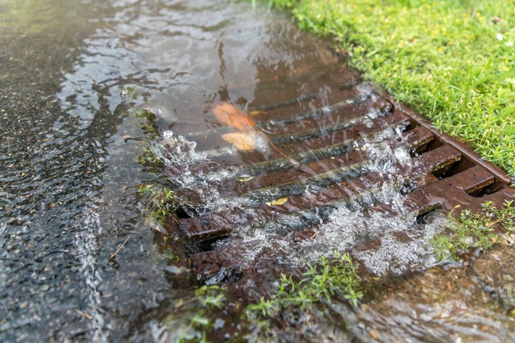 Water flowing over a storm drain on a wet pavement next to green grass.