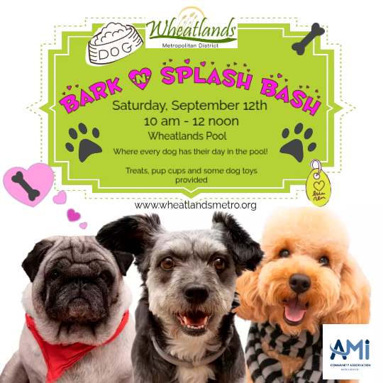 Flyer for Bark & Splash pool event