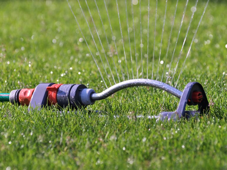 Close up picture of a sprinkler on a green lawn.