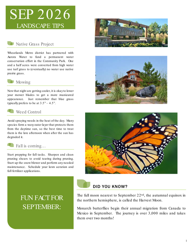 September landscaping information and tips.