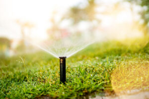 close up of pop-up sprinkler head.